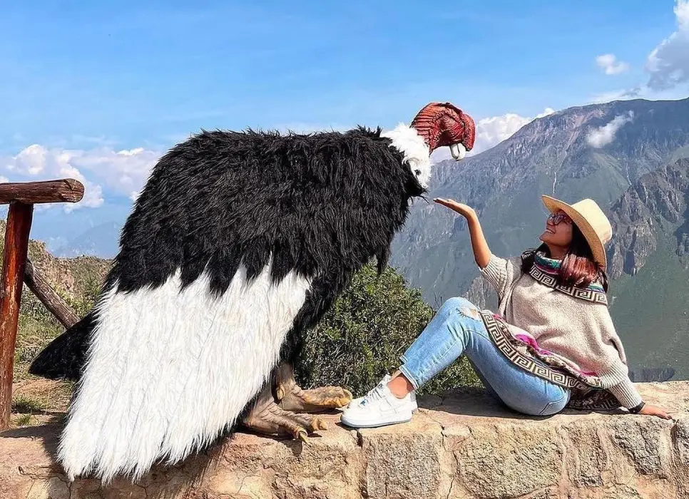 Colca Canyon Tour from Arequipa 1 Day
