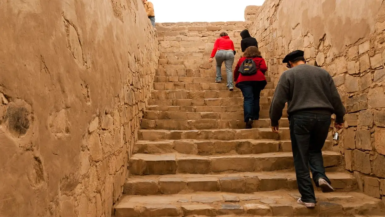 Pachacamac and Peruvian Paso Horses Tour from Lima 1 Day
