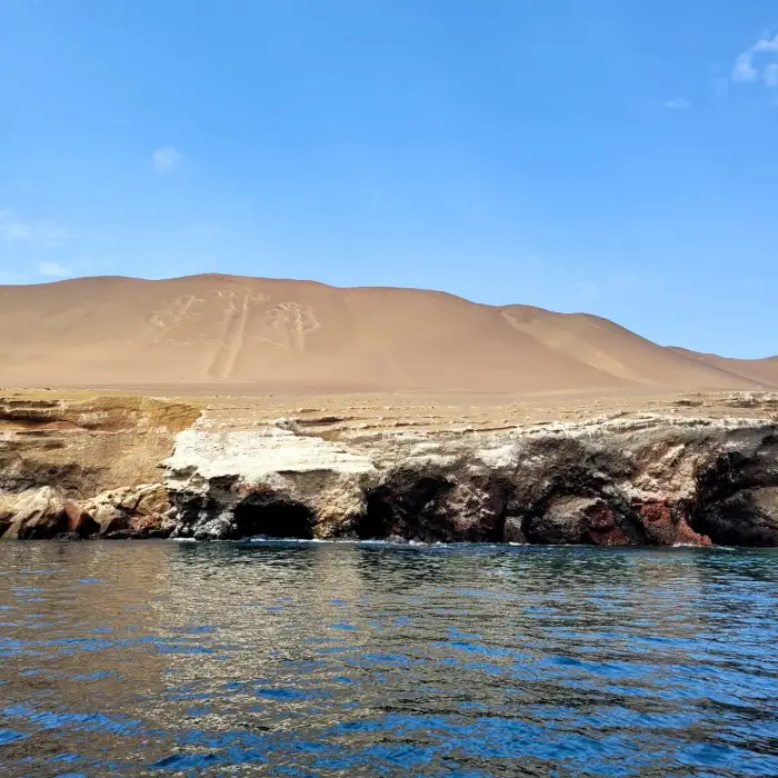 Full-Day Ica – Paracas – Huacachina Tour 1 Day