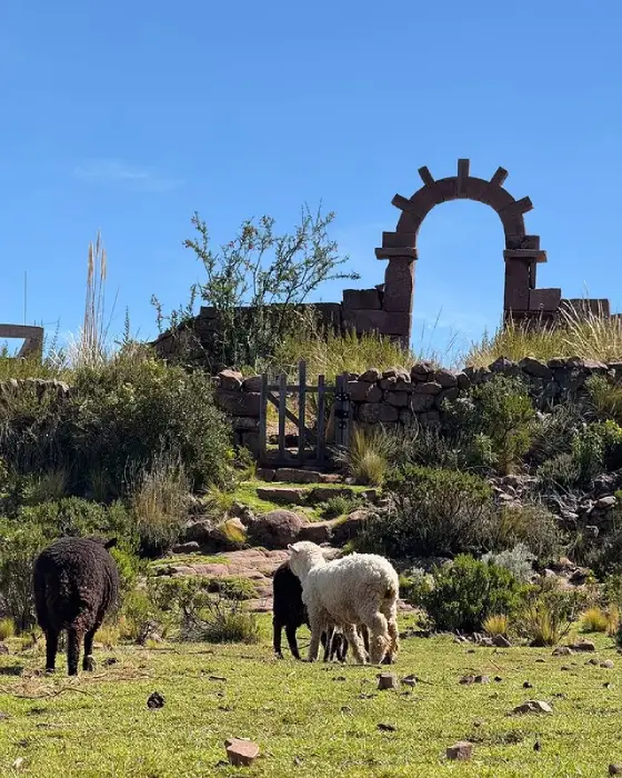Puno Tour 2 Days – Uros, Amantani and Taquile